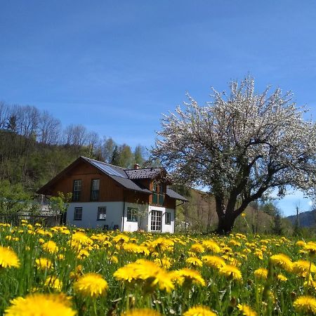 Gaestehaus Blonbauer Apartment Schladming Luaran gambar