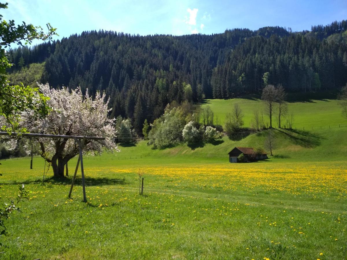 Gaestehaus Blonbauer Apartment Schladming Luaran gambar
