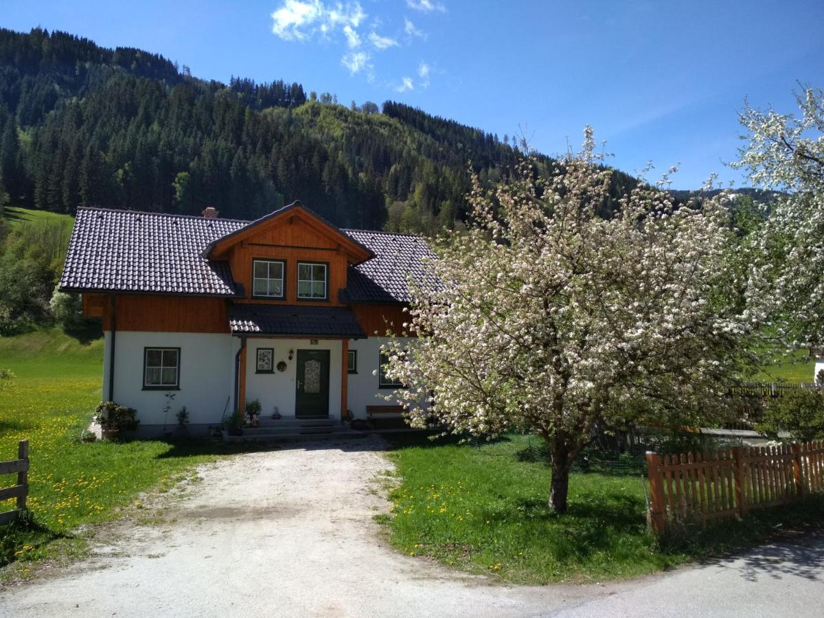 Gaestehaus Blonbauer Apartment Schladming Luaran gambar