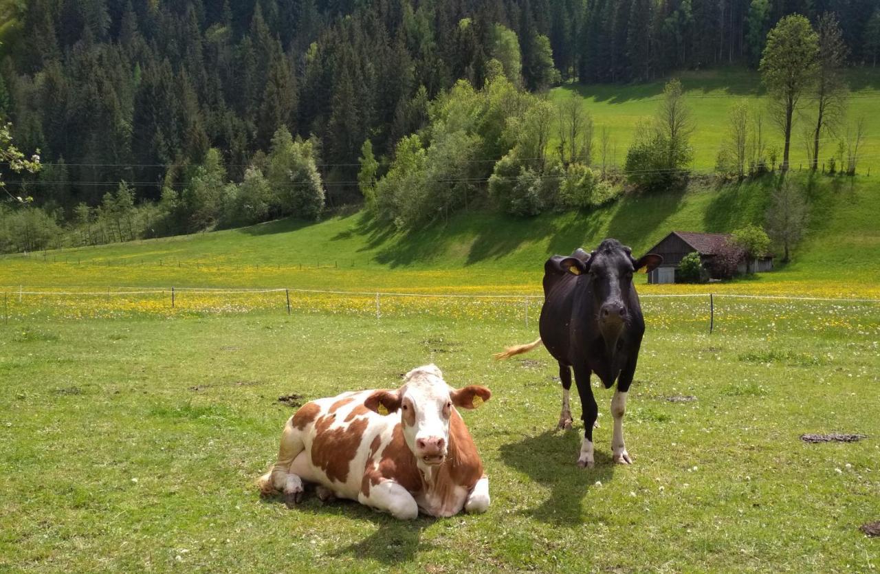 Gaestehaus Blonbauer Apartment Schladming Luaran gambar